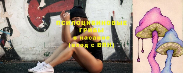 гидропоника Балабаново