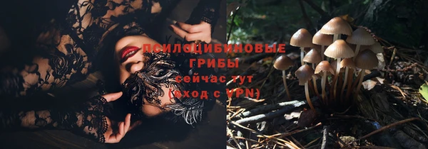 гидропоника Балабаново
